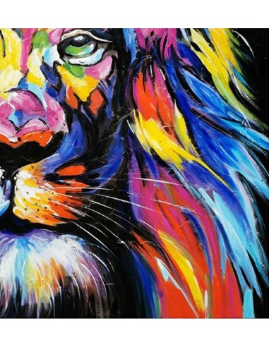 Décoration Murale Moderne DST0073 - Illustration créative Lion Multicolore  - Tableau déco Coloré - Printadeco – Printadeco-SAS